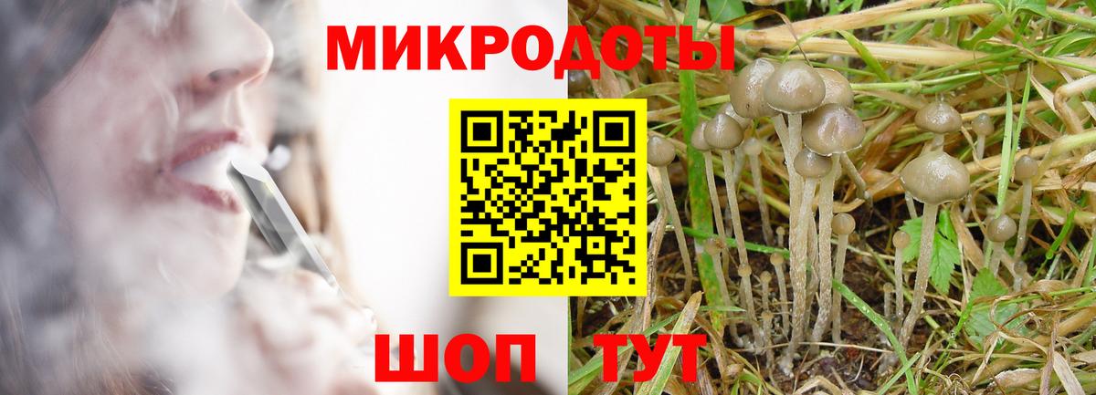 купить закладку  Псилоцибиновые грибы прущие грибы  Псилоцибиновые грибы MAGIC MUSHROOMS  Вход с VPN  Обь 